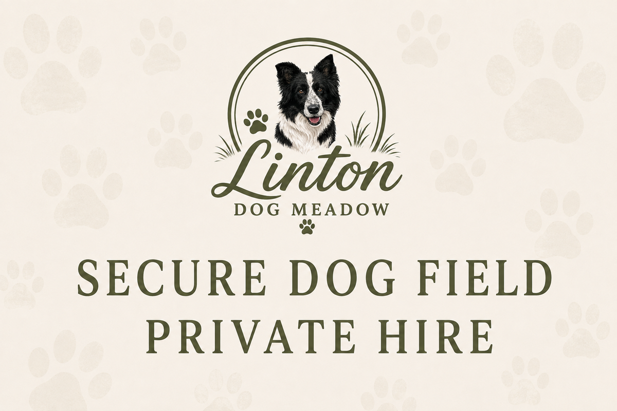 Secure Field Private Hire